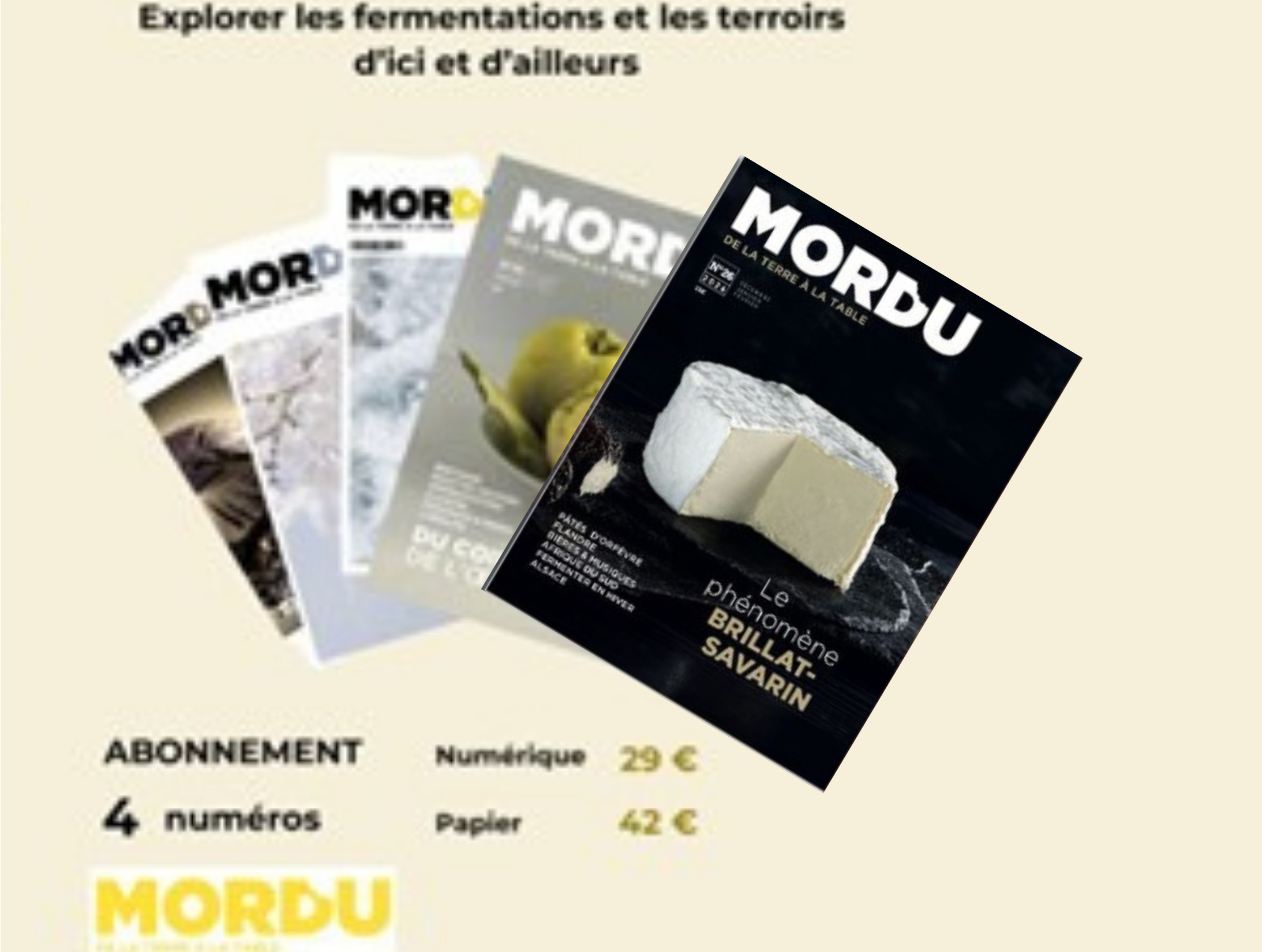 Site Web Blogueur Bio Lien Pastel Violet Noir Jaune(1)