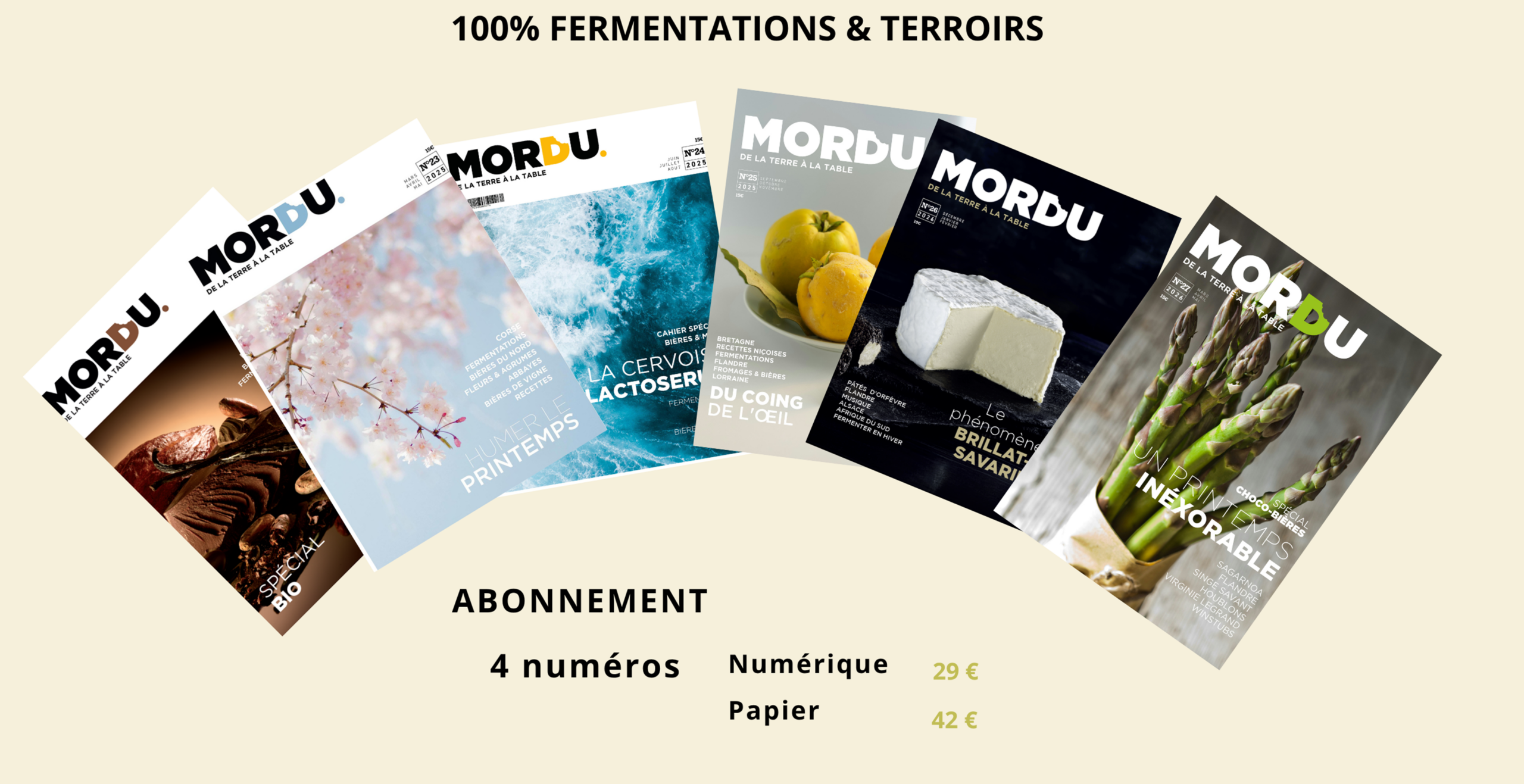 Site Web Blogueur Bio Lien Pastel Violet Noir Jaune(3)